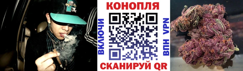 Каннабис VHQ  KRAKEN   Абаза 